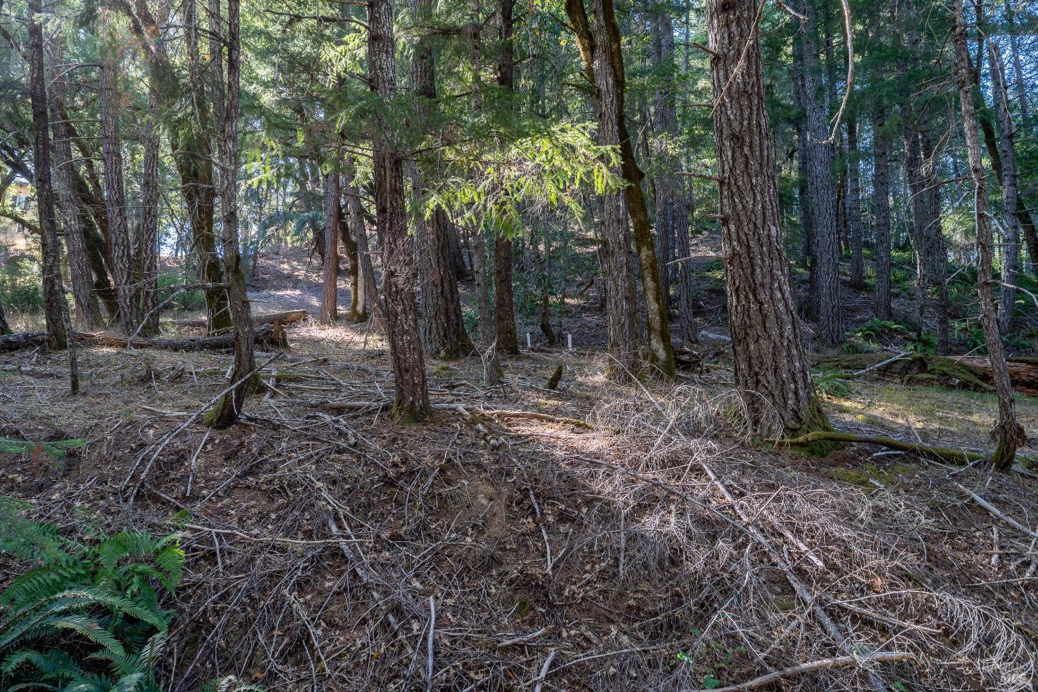 Detail Gallery Image 49 of 53 For 4070 Williams Ranch Rd, Willits,  CA 95490 - 2 Beds | 2 Baths