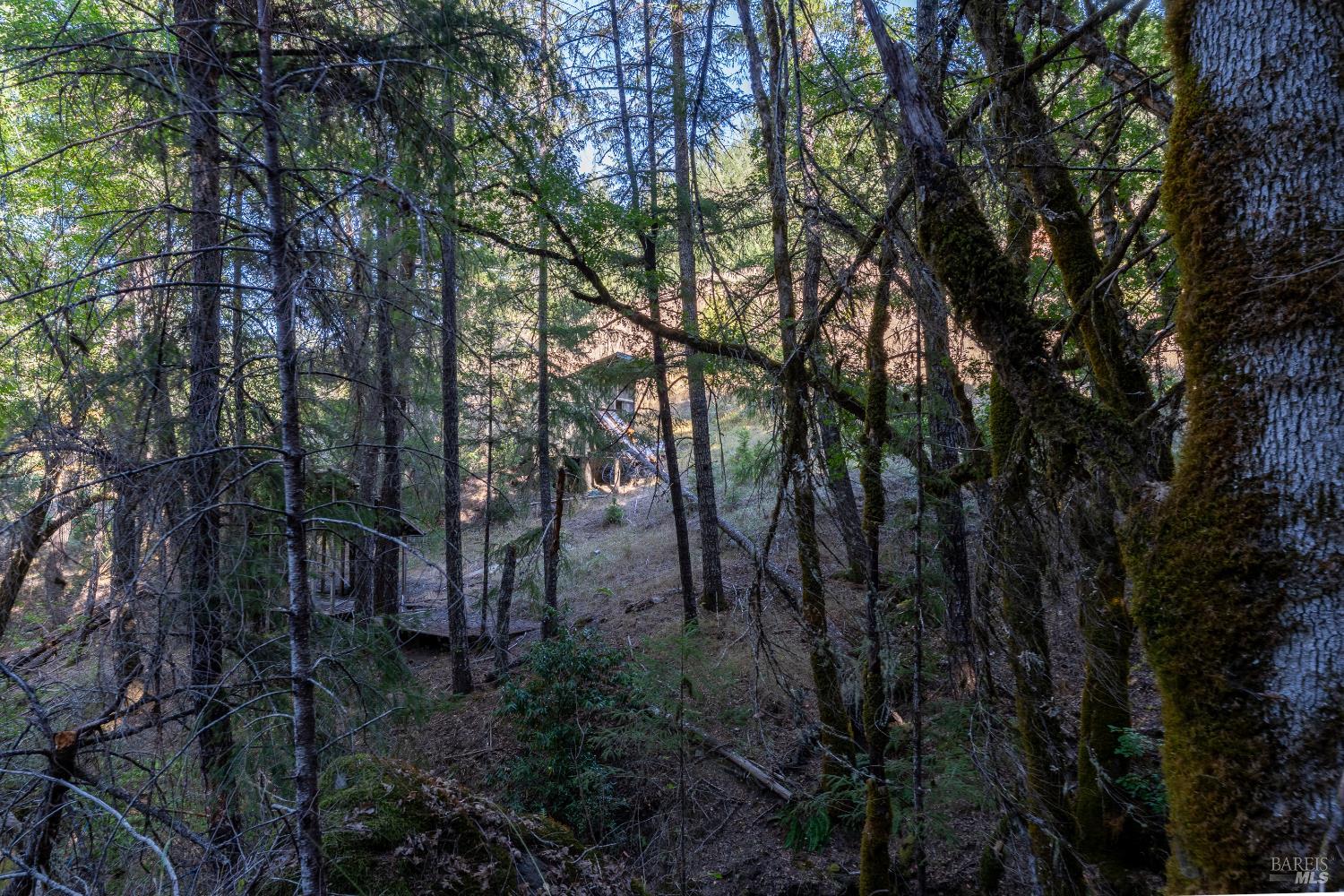 Detail Gallery Image 50 of 53 For 4070 Williams Ranch Rd, Willits,  CA 95490 - 2 Beds | 2 Baths