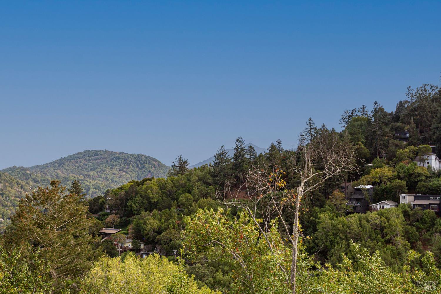 Detail Gallery Image 14 of 52 For 63 Bay Rd, Fairfax,  CA 94930 - 4 Beds | 3 Baths