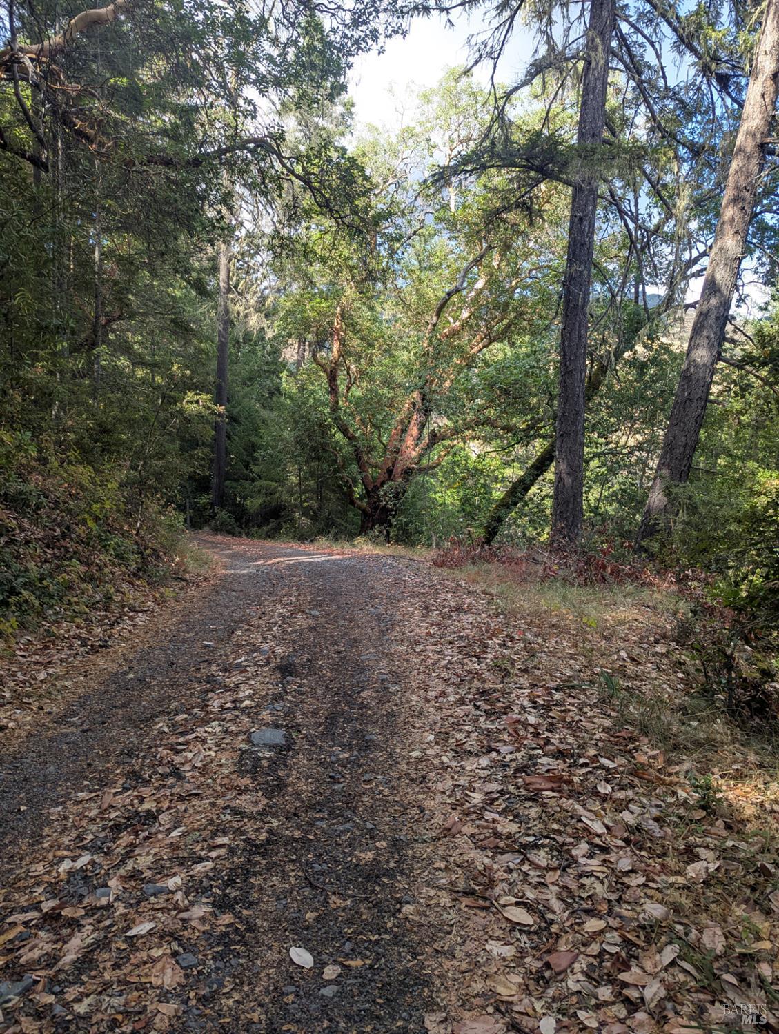 Detail Gallery Image 35 of 35 For 59202 George Washington Rock Rd, Laytonville,  CA 95585 - – Beds | – Baths