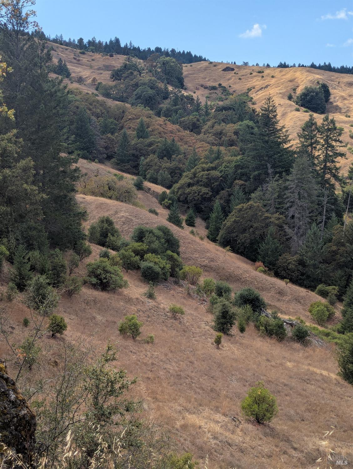 Detail Gallery Image 17 of 35 For 59202 George Washington Rock Rd, Laytonville,  CA 95585 - – Beds | – Baths