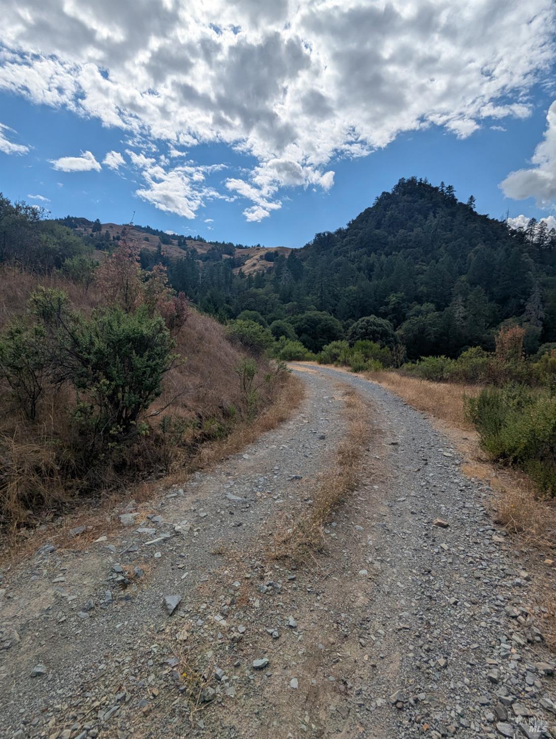 Detail Gallery Image 22 of 35 For 59202 George Washington Rock Rd, Laytonville,  CA 95585 - – Beds | – Baths