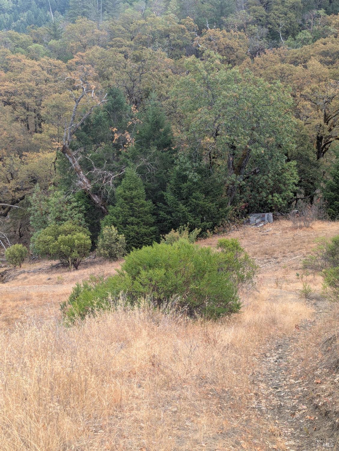 Detail Gallery Image 27 of 35 For 59202 George Washington Rock Rd, Laytonville,  CA 95585 - – Beds | – Baths