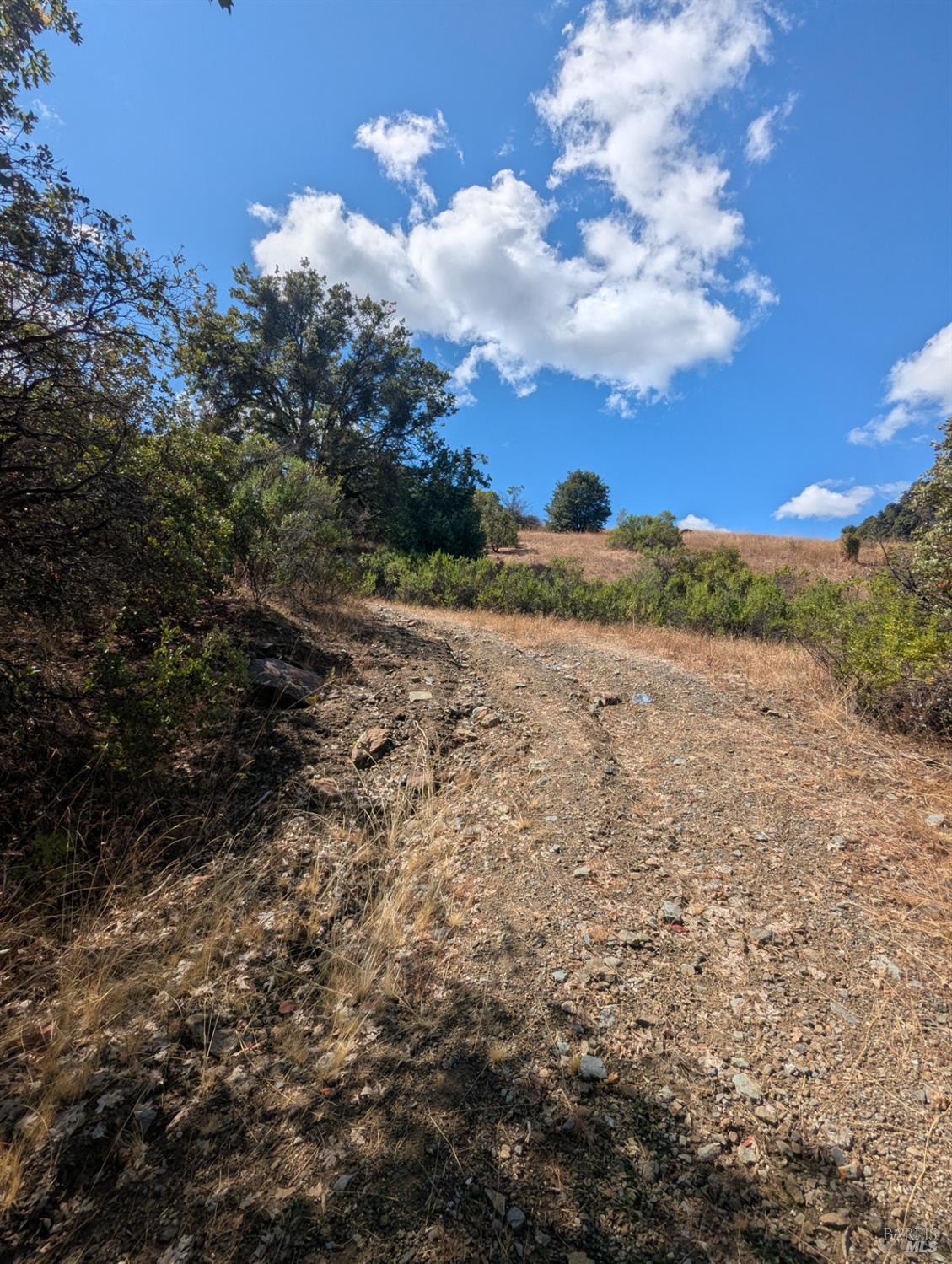 Detail Gallery Image 13 of 35 For 59202 George Washington Rock Rd, Laytonville,  CA 95585 - – Beds | – Baths