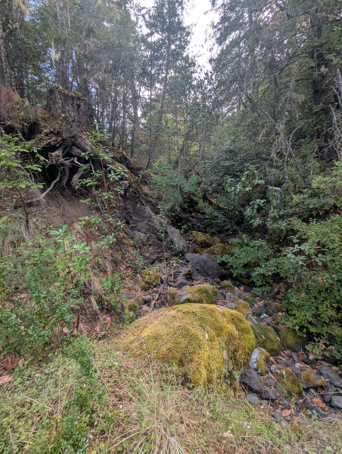 Detail Gallery Image 23 of 35 For 59202 George Washington Rock Rd, Laytonville,  CA 95585 - – Beds | – Baths