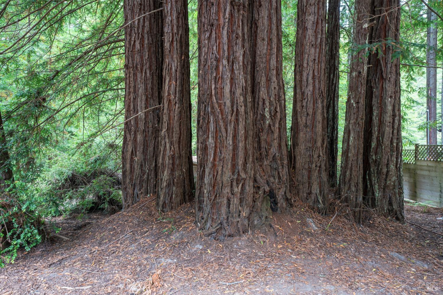 Detail Gallery Image 19 of 23 For 43853 Tibbens Ln, Mendocino,  CA 95460 - 2 Beds | 2 Baths