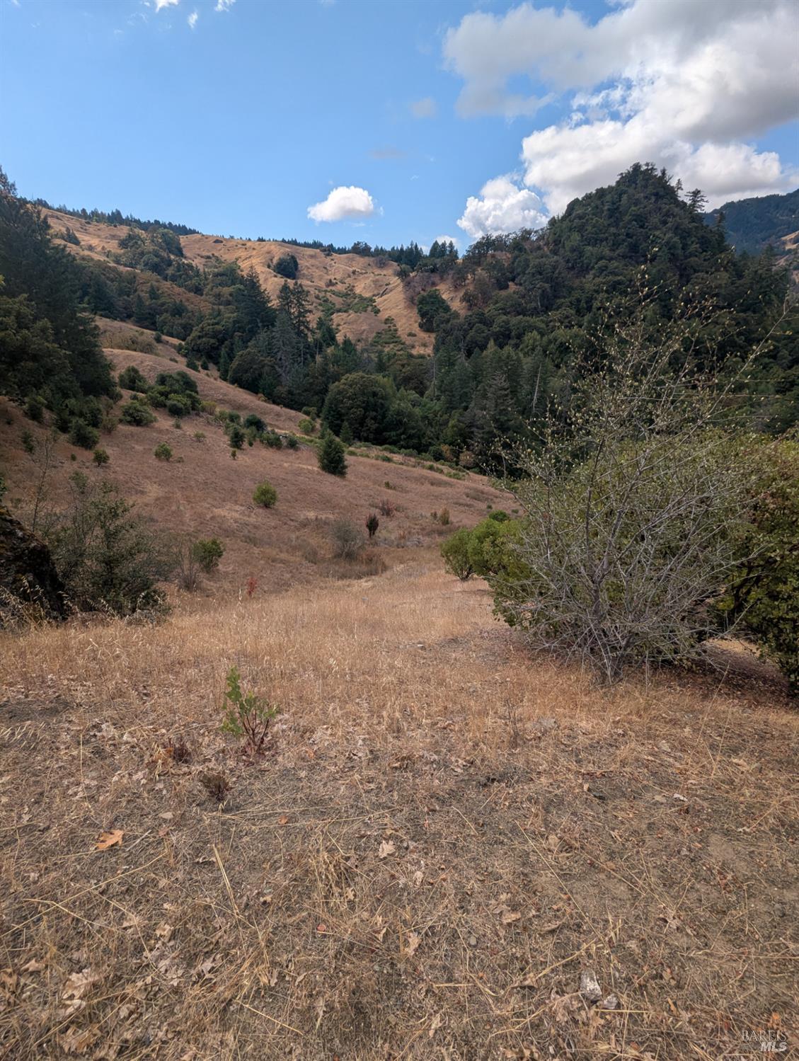 Detail Gallery Image 33 of 35 For 59202 George Washington Rock Rd, Laytonville,  CA 95585 - – Beds | – Baths