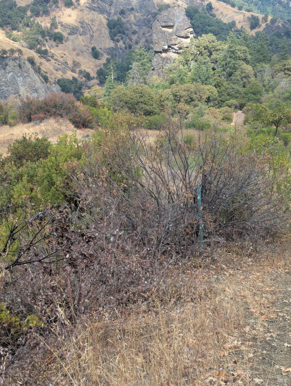 Detail Gallery Image 29 of 35 For 59202 George Washington Rock Rd, Laytonville,  CA 95585 - – Beds | – Baths