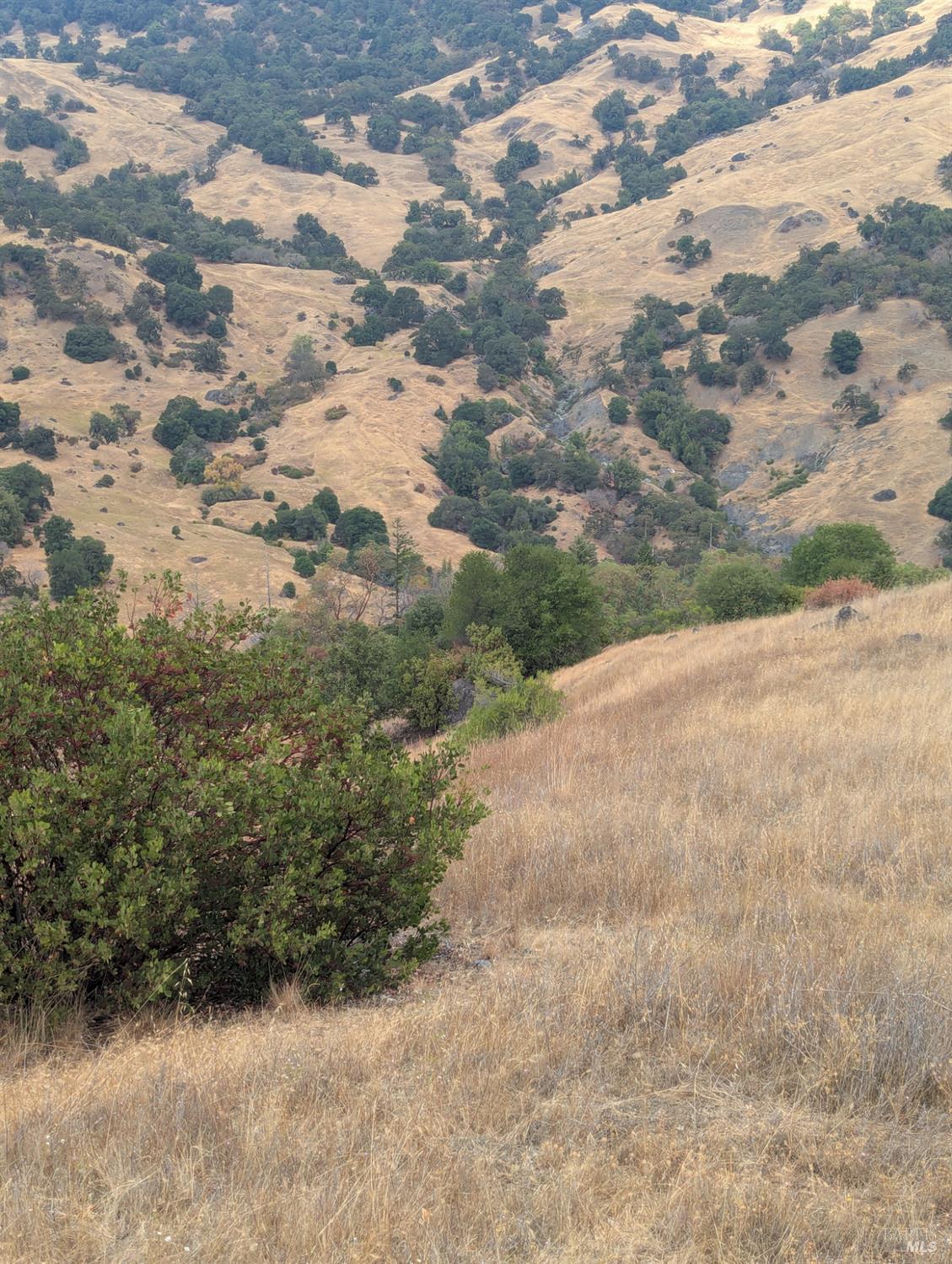 Detail Gallery Image 14 of 35 For 59202 George Washington Rock Rd, Laytonville,  CA 95585 - – Beds | – Baths