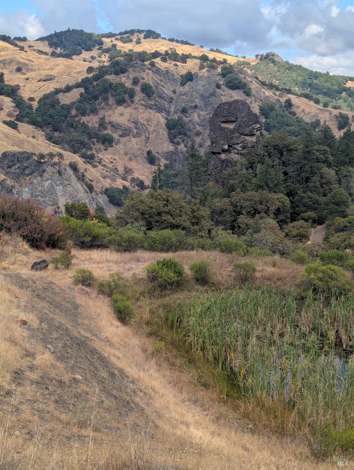 Detail Gallery Image 25 of 35 For 59202 George Washington Rock Rd, Laytonville,  CA 95585 - – Beds | – Baths