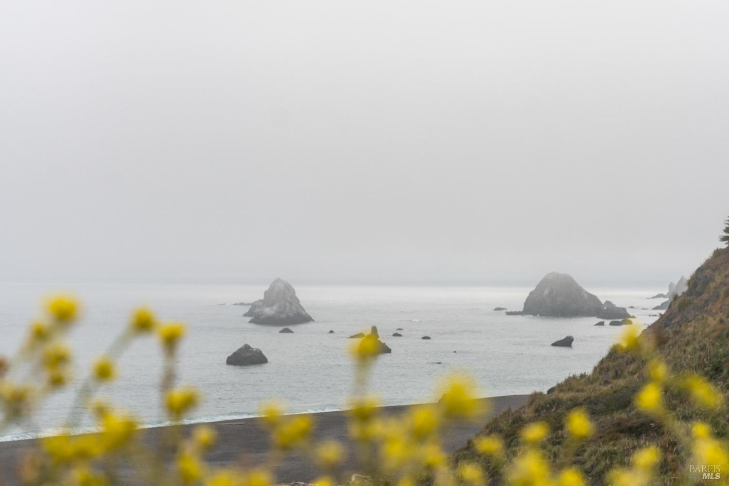 Detail Gallery Image 19 of 51 For 10400 Coast Highway Hwy, Jenner,  CA 95450 - – Beds | – Baths