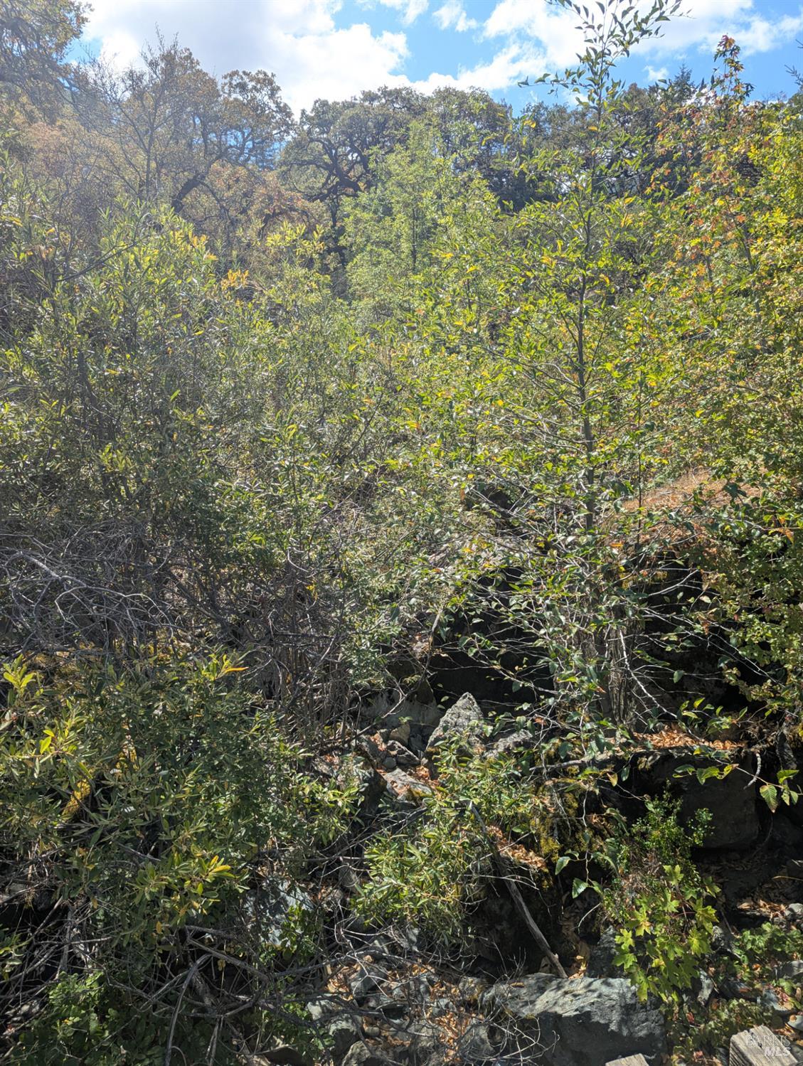 Detail Gallery Image 11 of 35 For 59202 George Washington Rock Rd, Laytonville,  CA 95585 - – Beds | – Baths