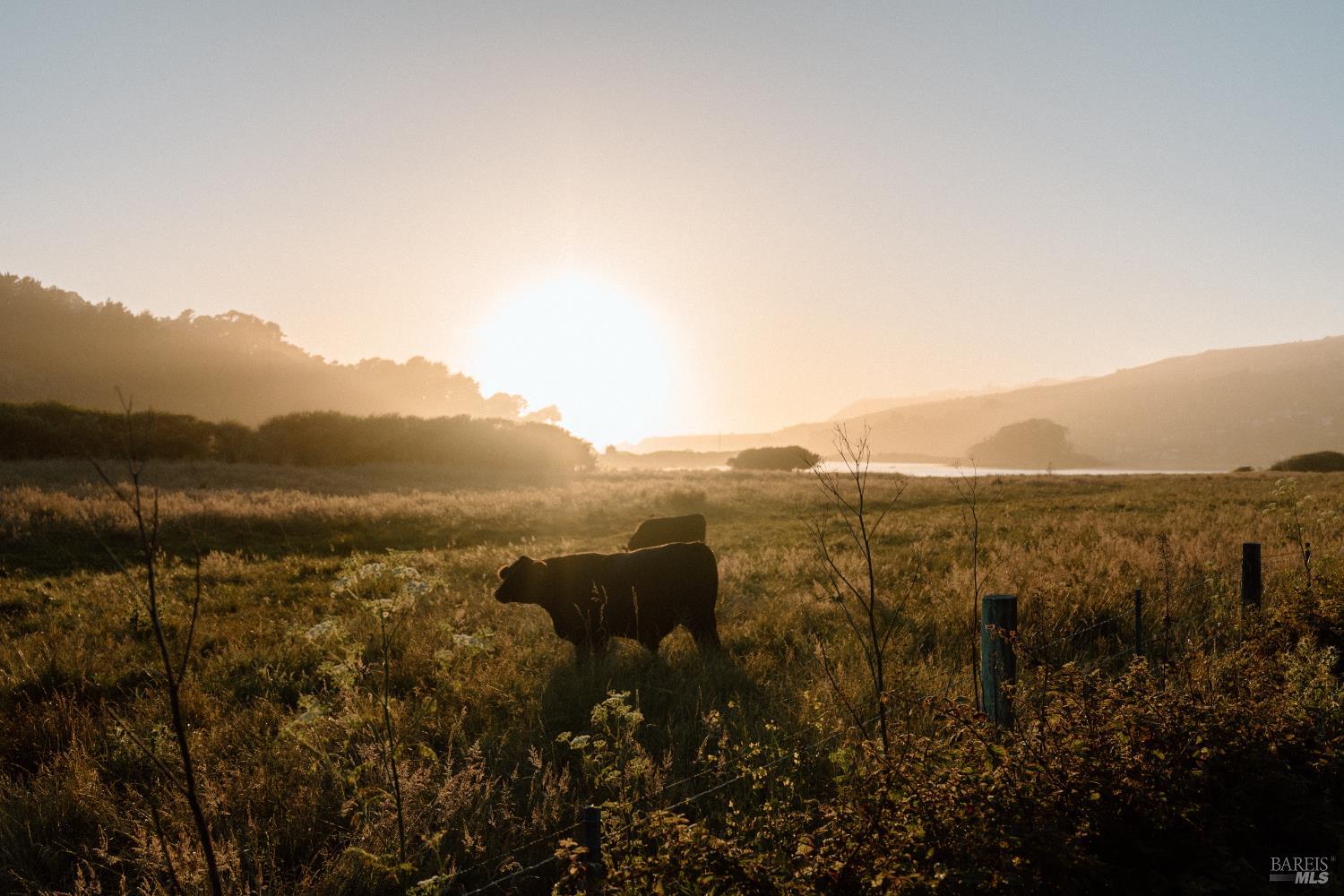 Detail Gallery Image 17 of 51 For 10400 Coast Highway Hwy, Jenner,  CA 95450 - – Beds | – Baths