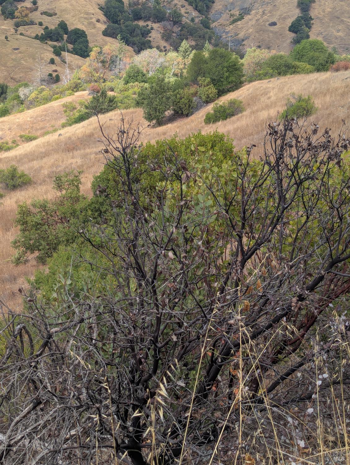 Detail Gallery Image 16 of 35 For 59202 George Washington Rock Rd, Laytonville,  CA 95585 - – Beds | – Baths