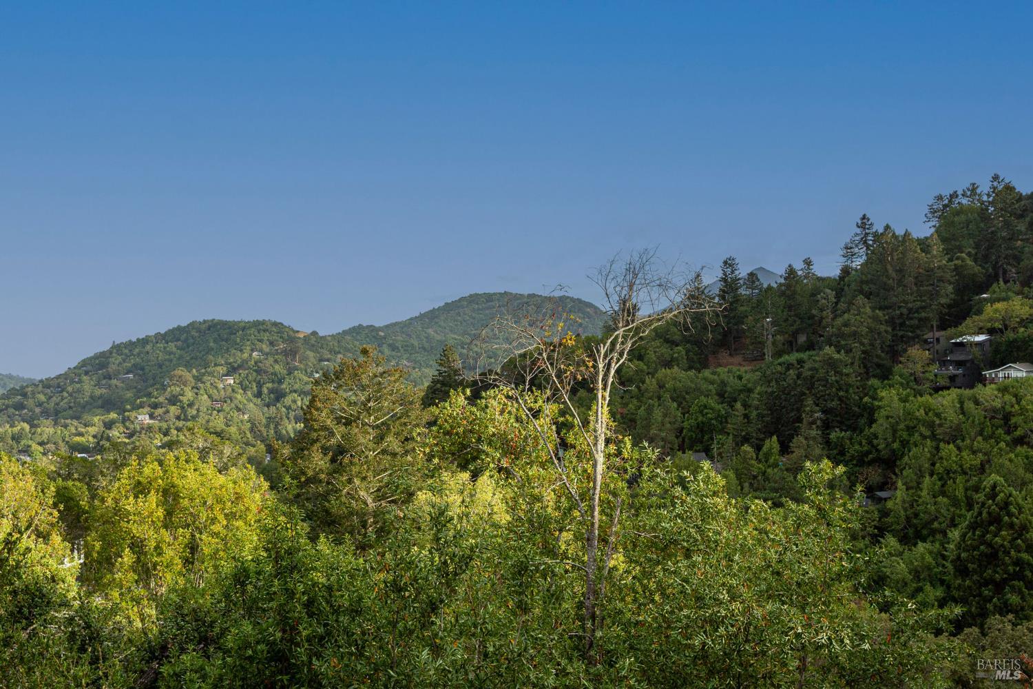 Detail Gallery Image 3 of 52 For 63 Bay Rd, Fairfax,  CA 94930 - 4 Beds | 3 Baths