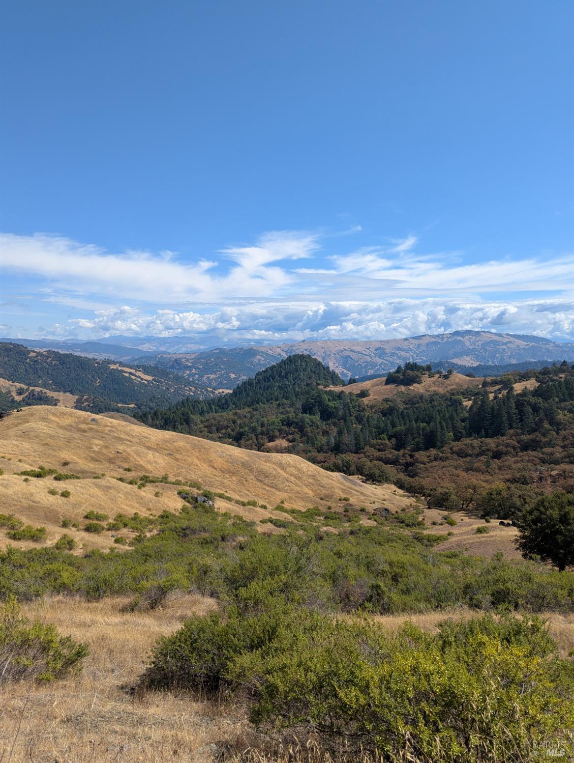 Detail Gallery Image 8 of 35 For 59202 George Washington Rock Rd, Laytonville,  CA 95585 - – Beds | – Baths