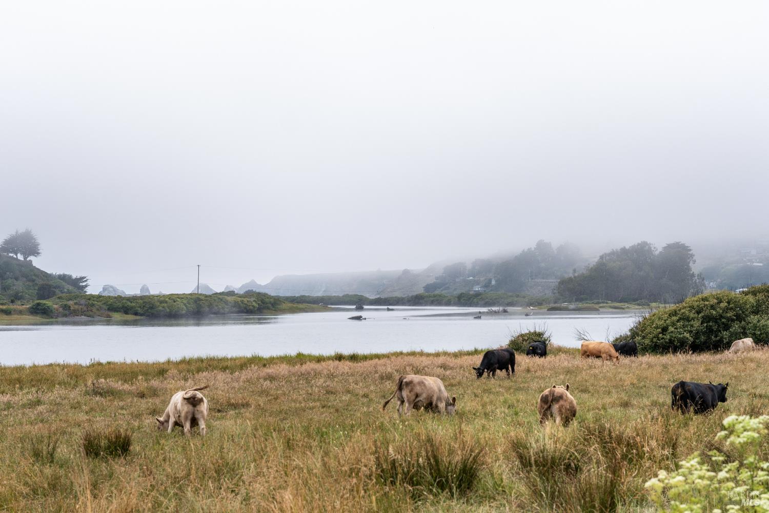 Detail Gallery Image 22 of 51 For 10400 Coast Highway Hwy, Jenner,  CA 95450 - – Beds | – Baths