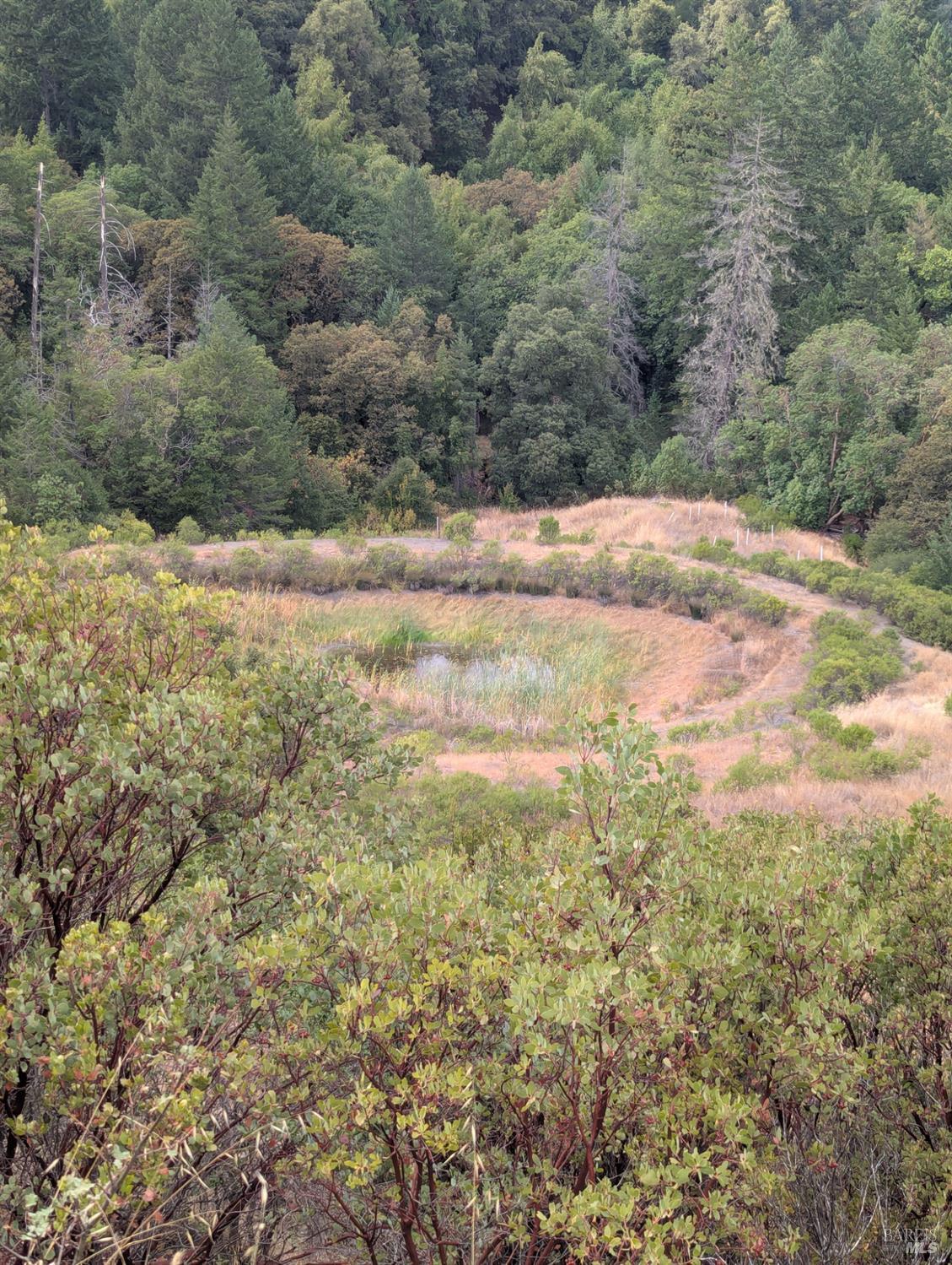 Detail Gallery Image 15 of 35 For 59202 George Washington Rock Rd, Laytonville,  CA 95585 - – Beds | – Baths