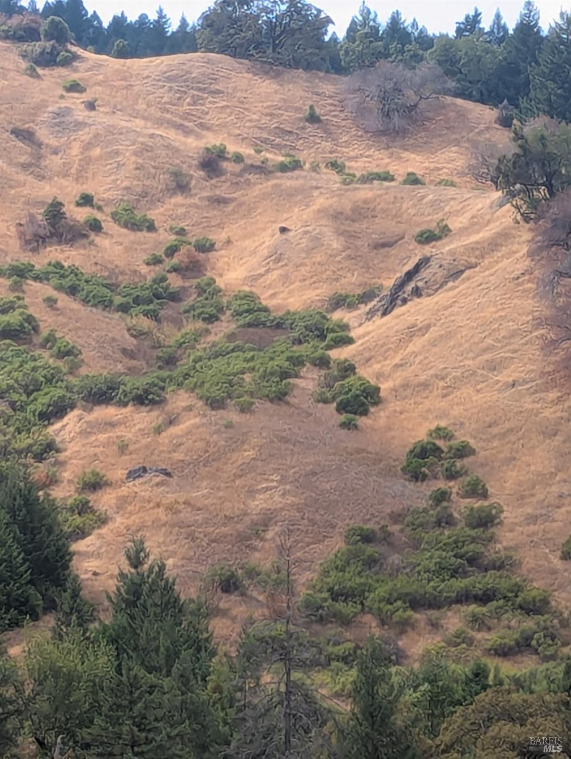 Detail Gallery Image 31 of 35 For 59202 George Washington Rock Rd, Laytonville,  CA 95585 - – Beds | – Baths