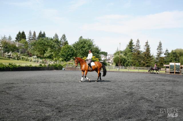 Detail Gallery Image 15 of 65 For 497 Laguna Vista Rd, Santa Rosa,  CA 95401 - 3 Beds | 2 Baths