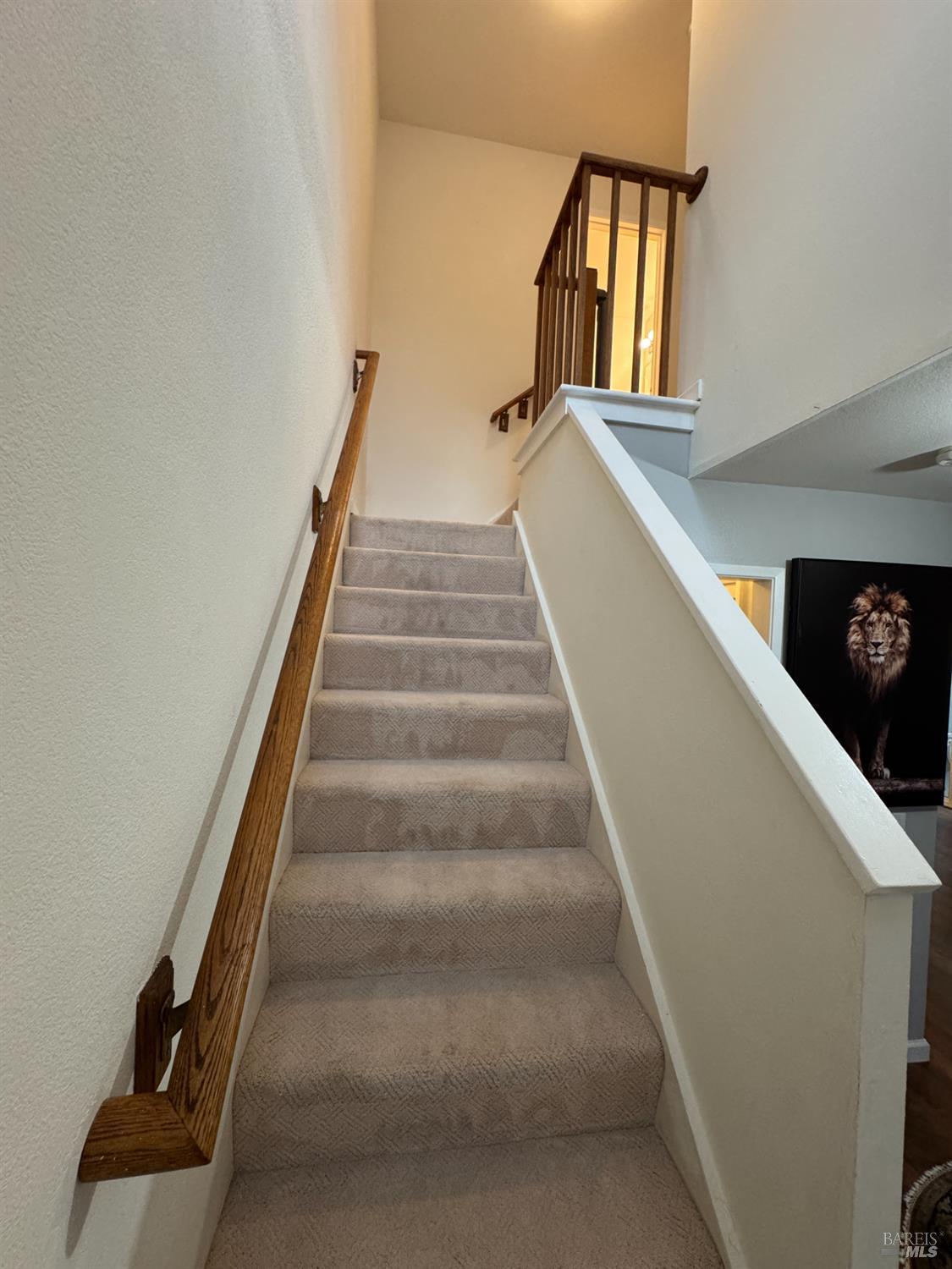 Detail Gallery Image 27 of 65 For 58 Scottsdale Way, Novato,  CA 94945 - 2 Beds | 1/1 Baths