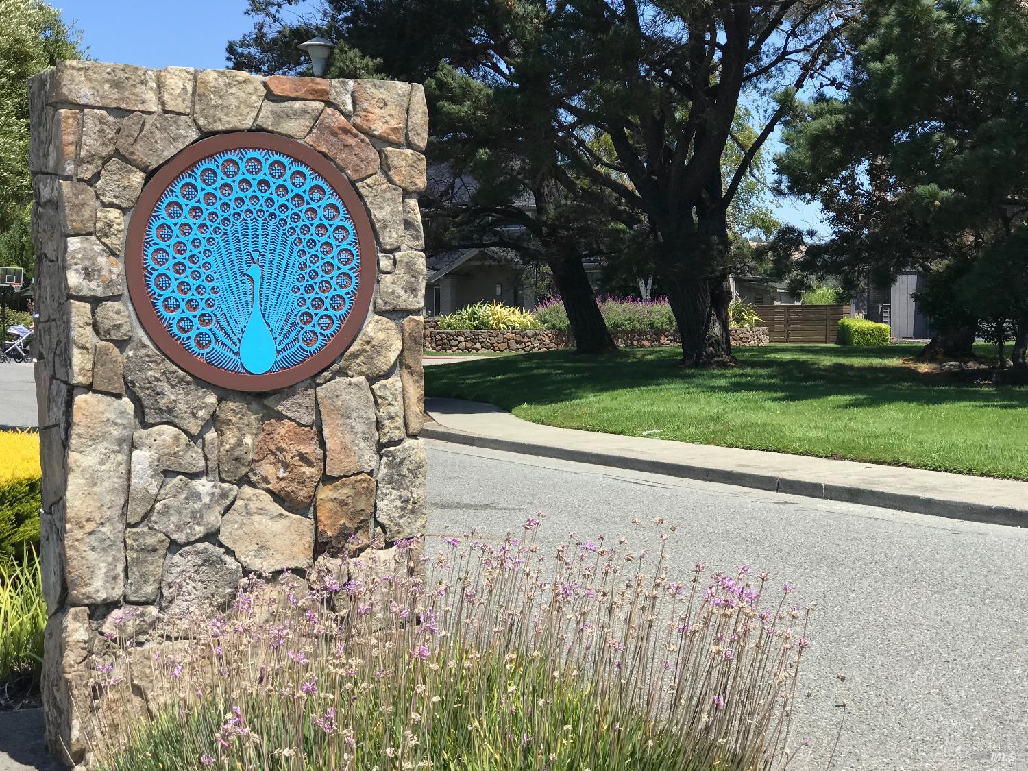 Detail Gallery Image 19 of 21 For 19 Tarrant Ct, San Rafael,  CA 94903 - 3 Beds | 2 Baths