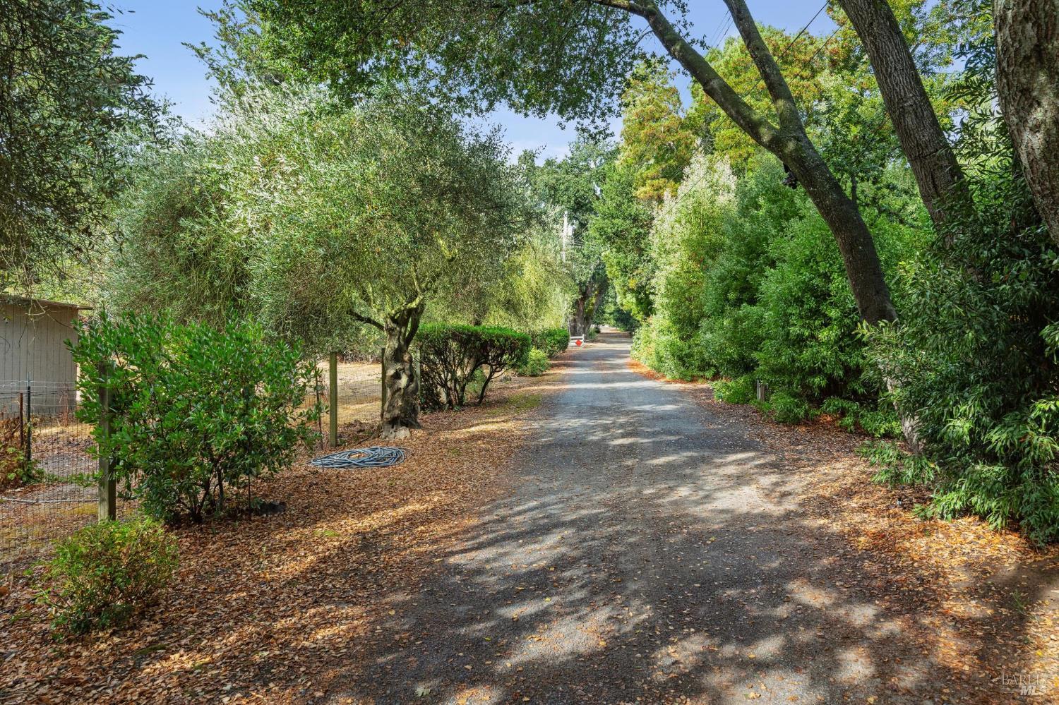 Detail Gallery Image 56 of 63 For 9760 Willow Ave, Cotati,  CA 94931 - 6 Beds | 4 Baths