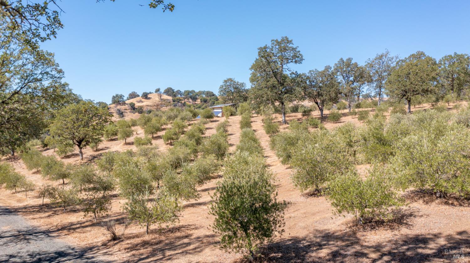 Detail Gallery Image 94 of 94 For 1280 W St. Hwy 20 St, Upper Lake,  CA 95485 - 2 Beds | 2 Baths