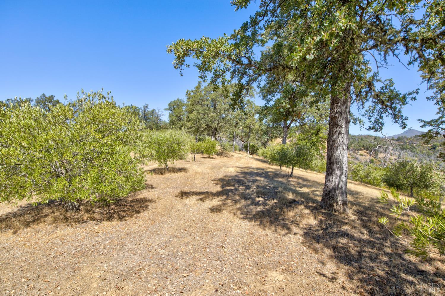 Detail Gallery Image 61 of 94 For 1280 W St. Hwy 20 St, Upper Lake,  CA 95485 - 2 Beds | 2 Baths