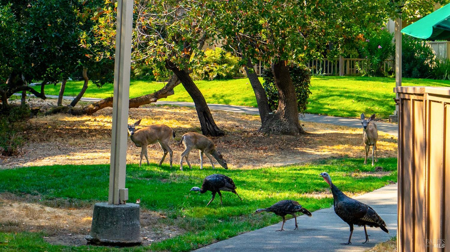 Detail Gallery Image 38 of 40 For 5 Charmaine Ct, Novato,  CA 94949 - 3 Beds | 2/1 Baths