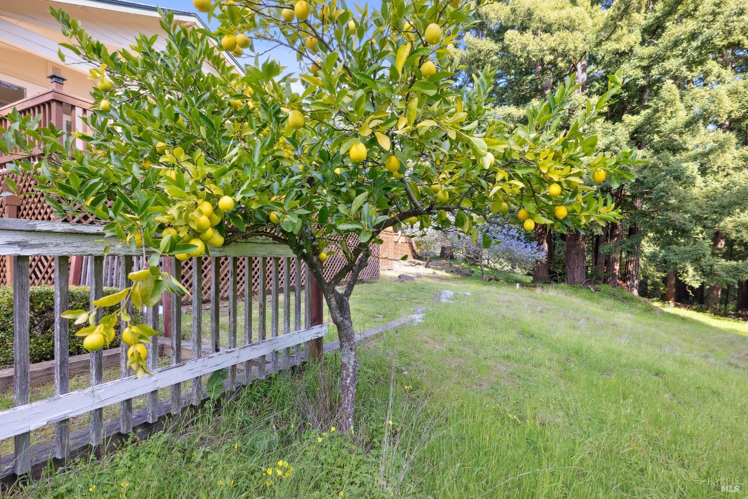 Detail Gallery Image 72 of 72 For 3750 Deer Meadow Ln, Occidental,  CA 95465 - 3 Beds | 3 Baths