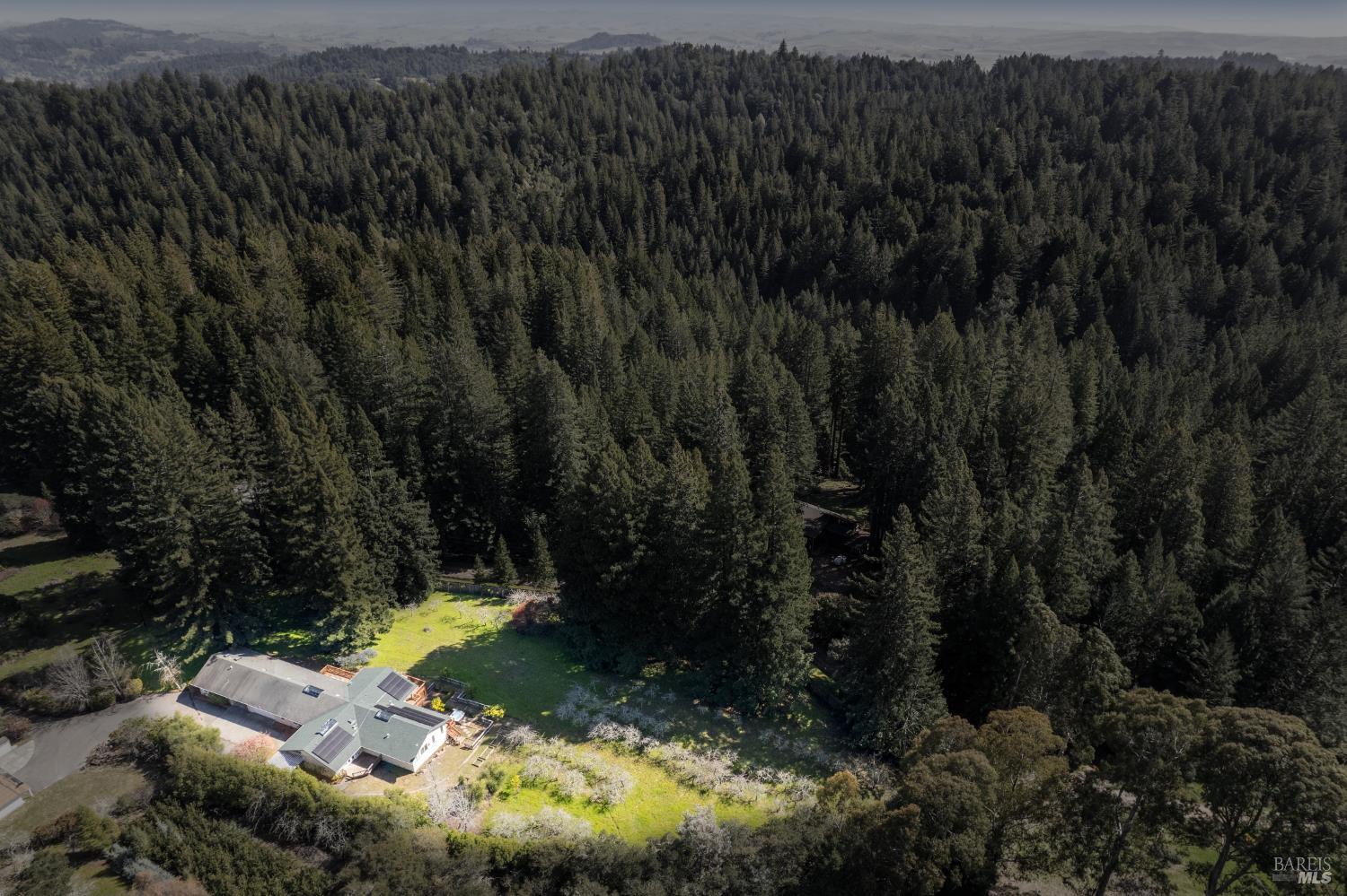 Detail Gallery Image 18 of 72 For 3750 Deer Meadow Ln, Occidental,  CA 95465 - 3 Beds | 3 Baths