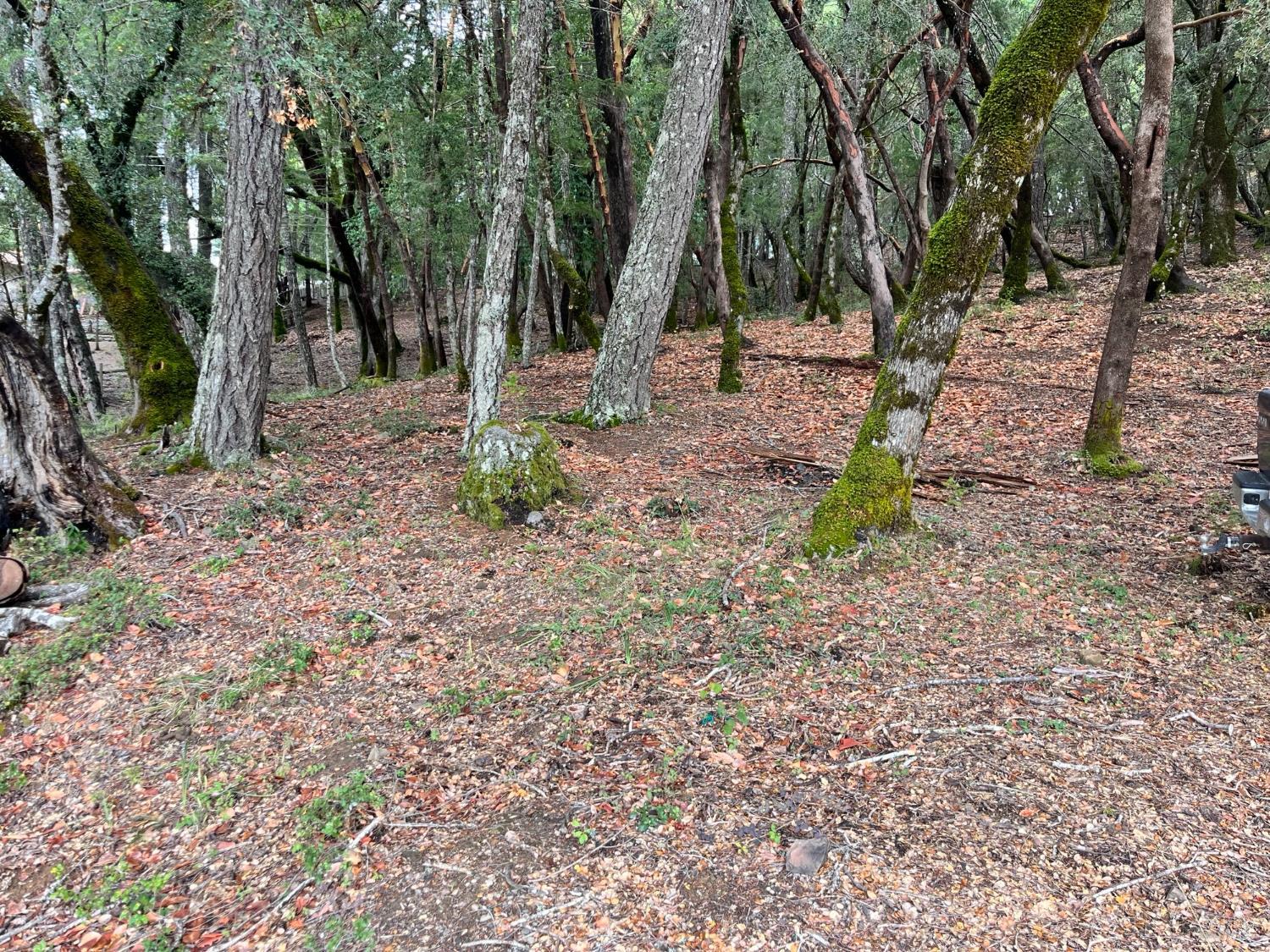 Front Image Thumbnail for BA325087951