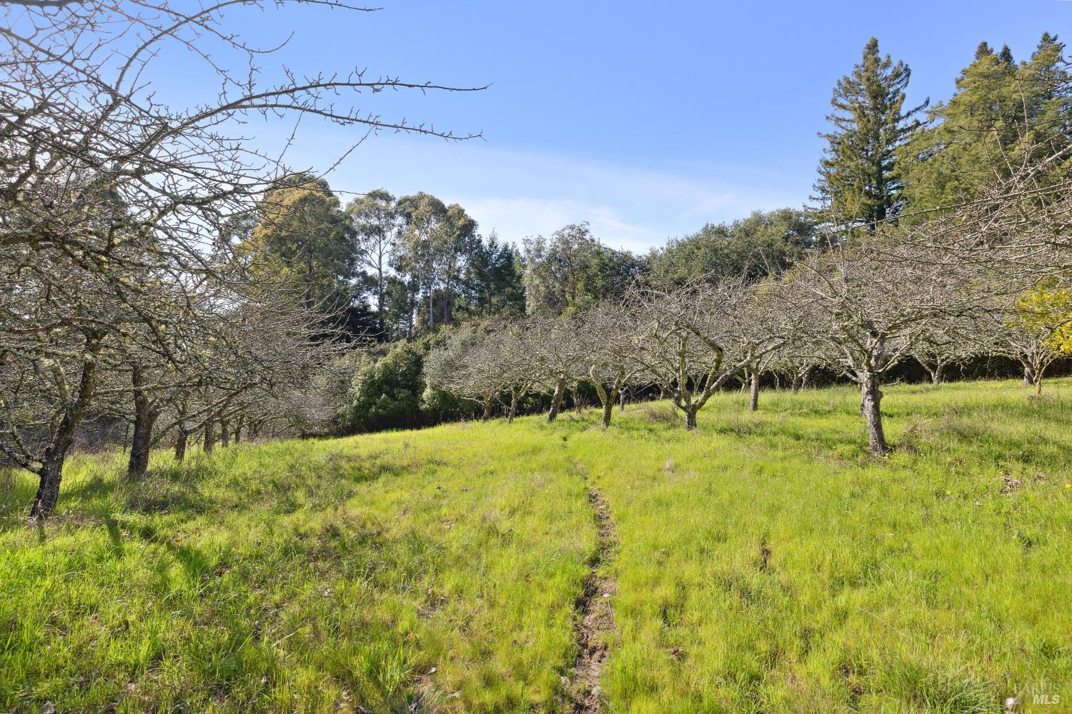 Detail Gallery Image 71 of 72 For 3750 Deer Meadow Ln, Occidental,  CA 95465 - 3 Beds | 3 Baths