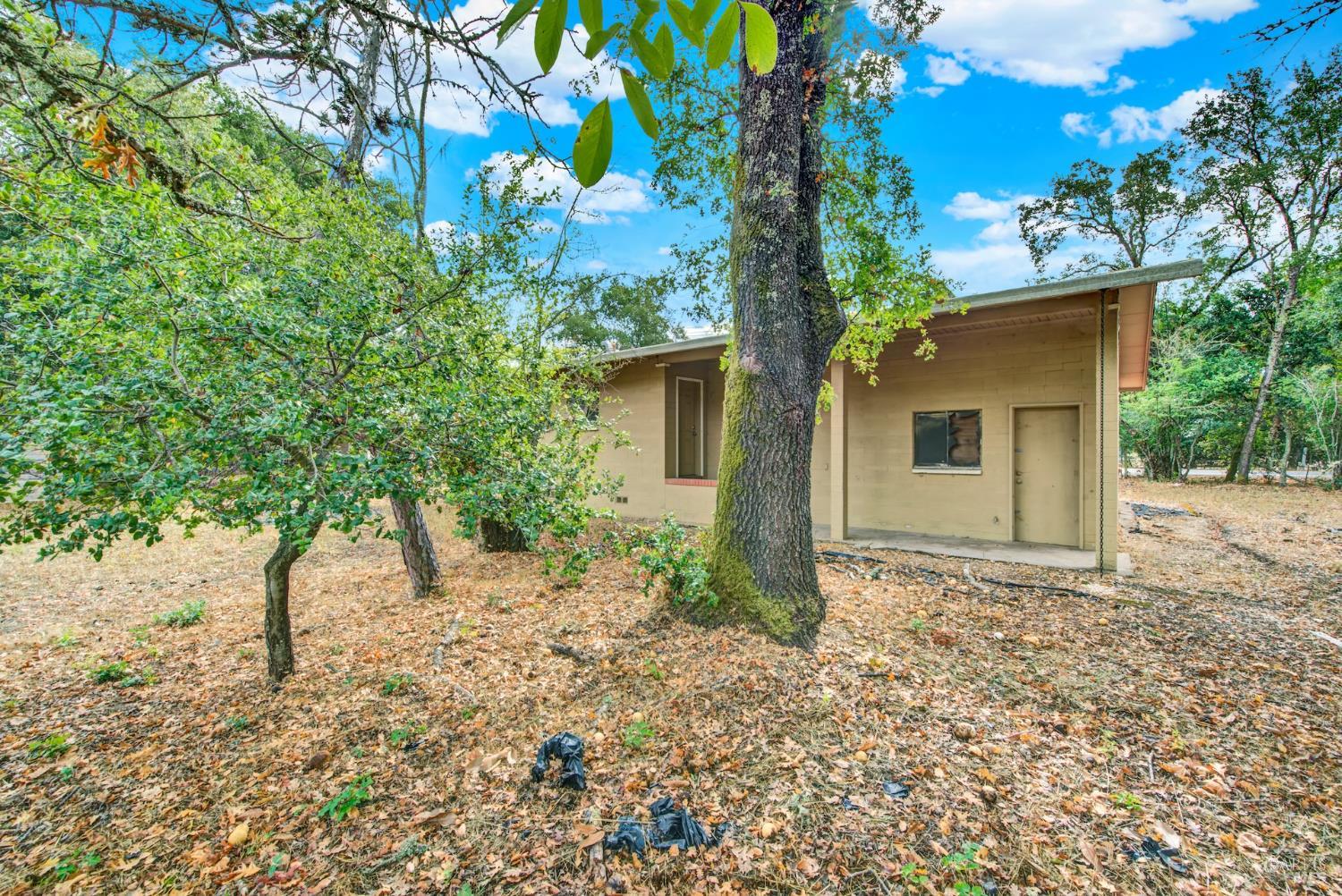 Detail Gallery Image 53 of 73 For 677 Petaluma Ave, Sonoma,  CA 95476 - 2 Beds | 1 Baths