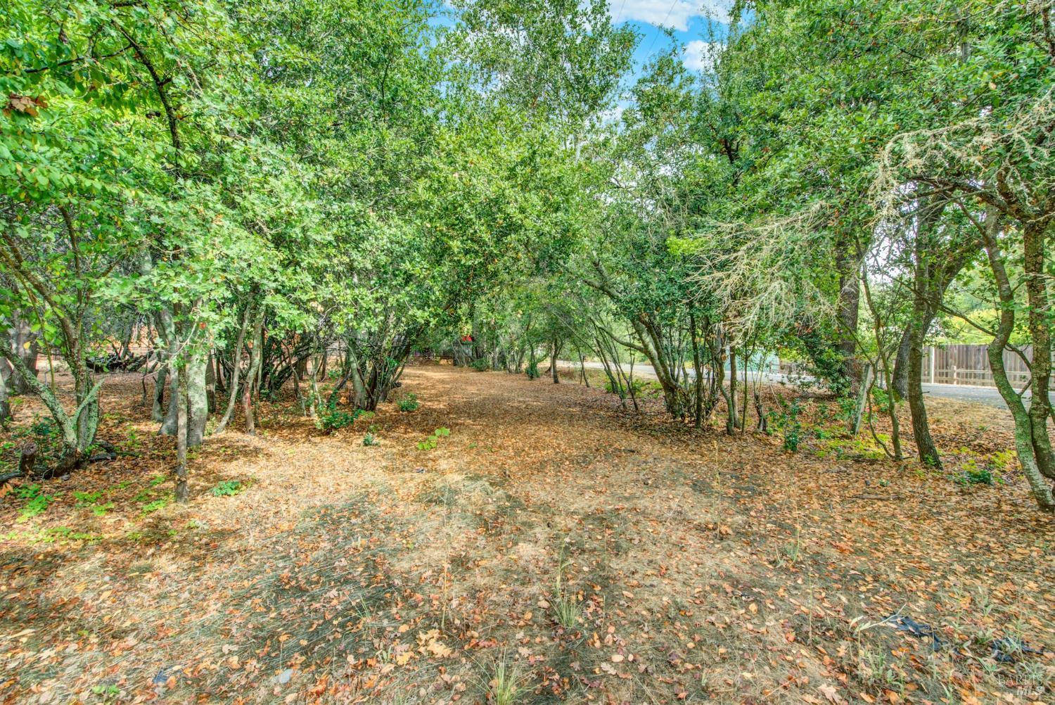 Detail Gallery Image 50 of 73 For 677 Petaluma Ave, Sonoma,  CA 95476 - 2 Beds | 1 Baths