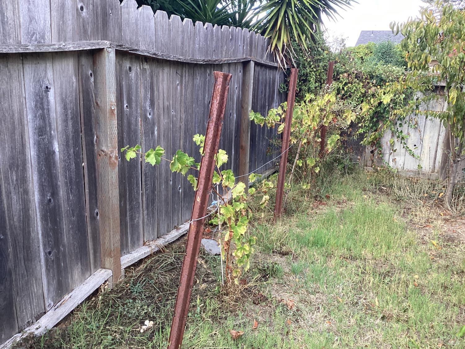 Detail Gallery Image 23 of 25 For 4356 Dale Dr, Napa,  CA 94558 - 3 Beds | 1 Baths