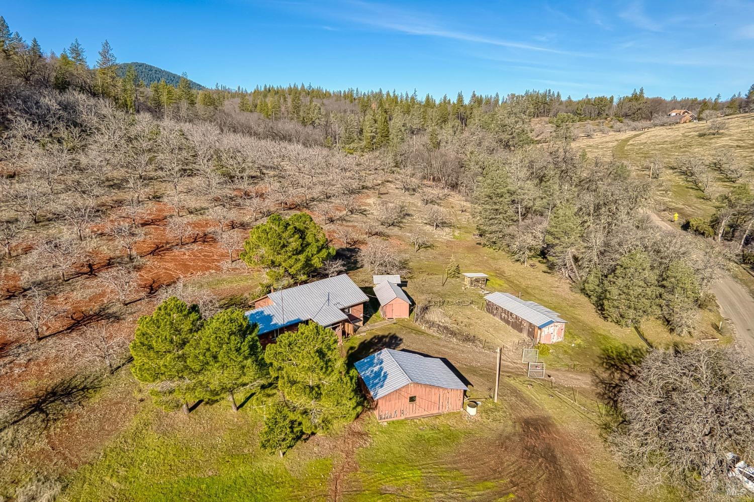 Detail Gallery Image 35 of 52 For 11415 Seigler Springs North Rd, Middletown,  CA 95461 - 3 Beds | 1/1 Baths