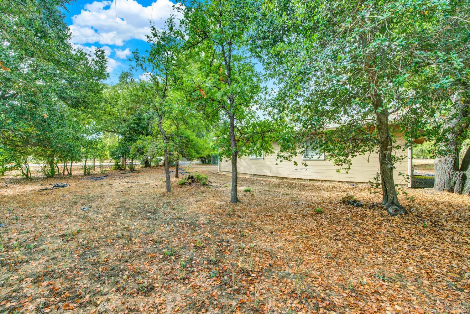 Detail Gallery Image 49 of 73 For 677 Petaluma Ave, Sonoma,  CA 95476 - 2 Beds | 1 Baths