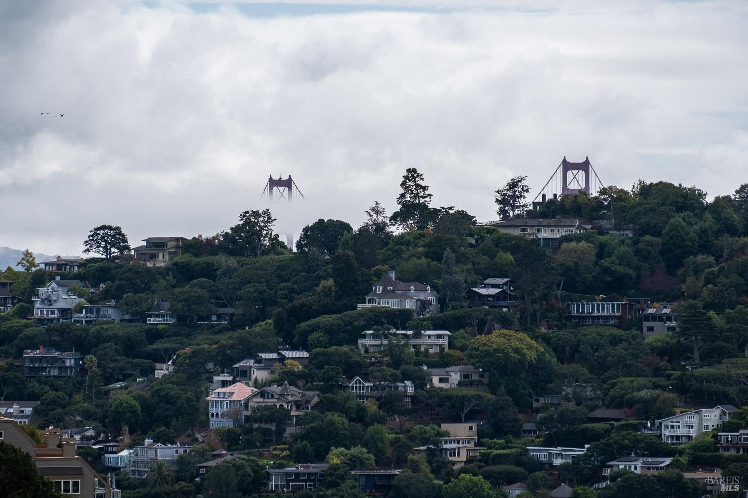 Detail Gallery Image 6 of 31 For 45 Meadow Hill Dr, Tiburon,  CA 94920 - 5 Beds | 4 Baths