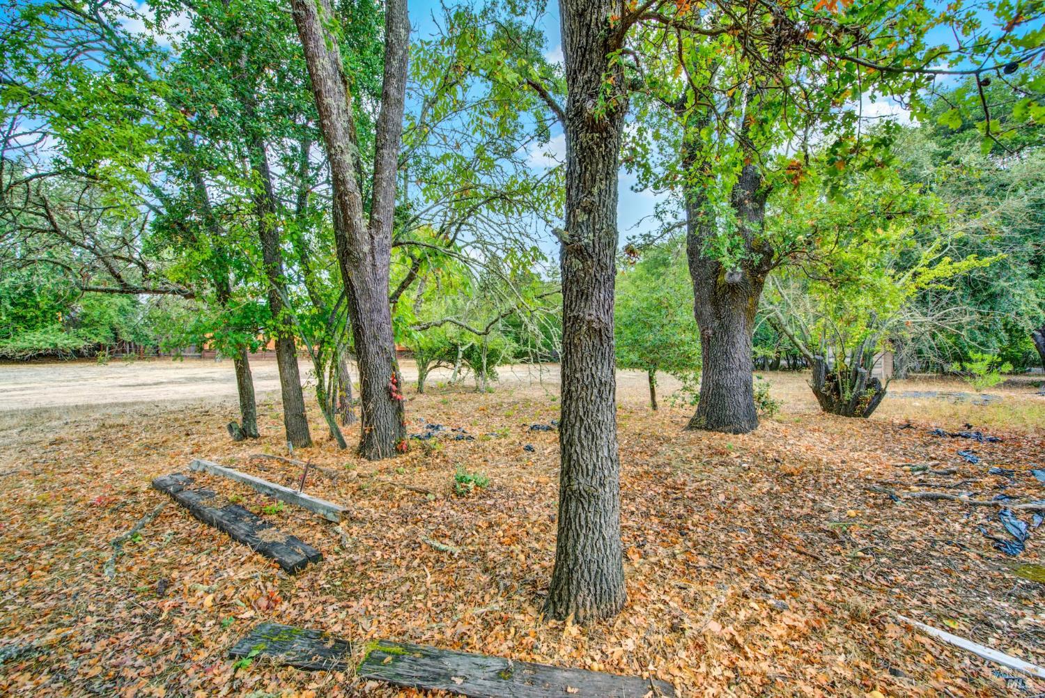 Detail Gallery Image 56 of 73 For 677 Petaluma Ave, Sonoma,  CA 95476 - 2 Beds | 1 Baths