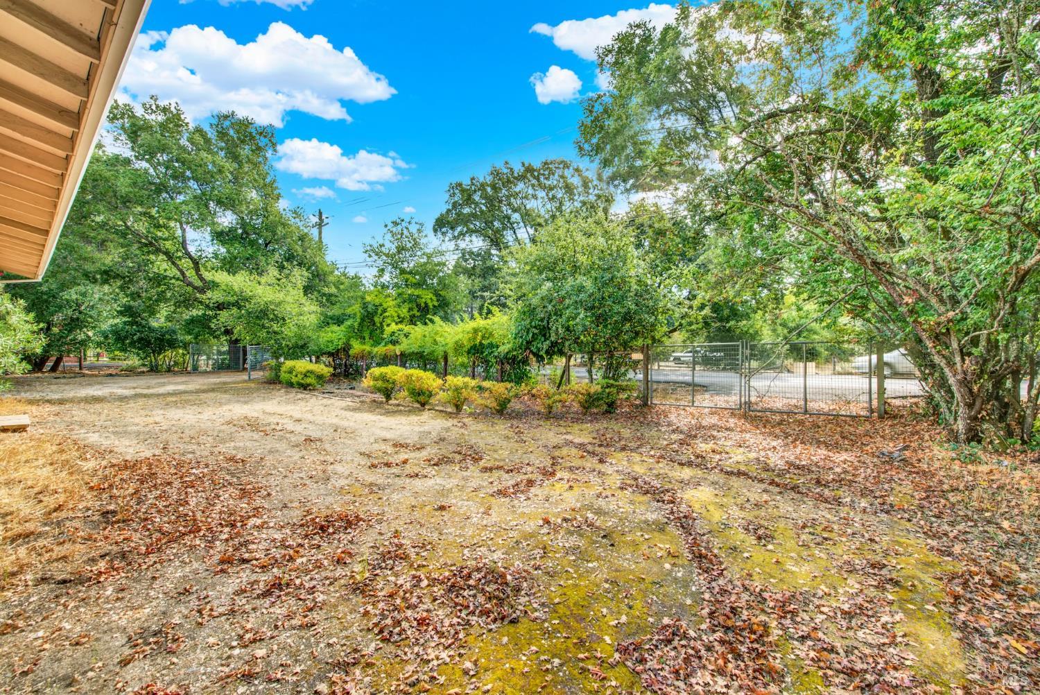 Detail Gallery Image 7 of 73 For 677 Petaluma Ave, Sonoma,  CA 95476 - 2 Beds | 1 Baths