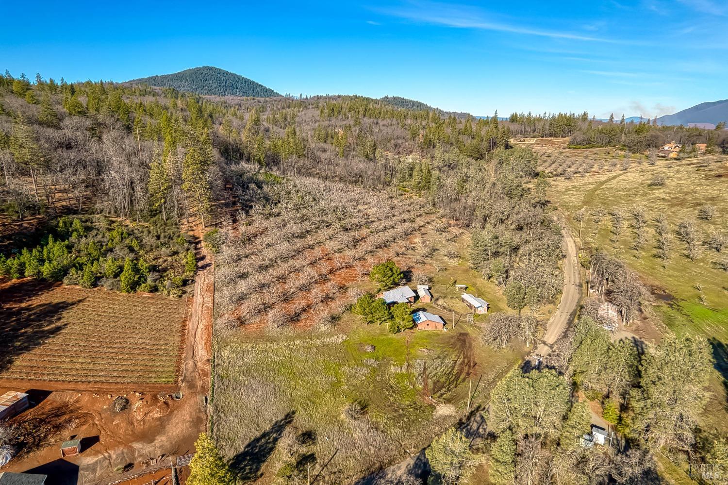 Detail Gallery Image 36 of 52 For 11415 Seigler Springs North Rd, Middletown,  CA 95461 - 3 Beds | 1/1 Baths