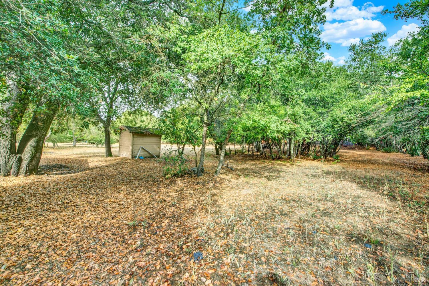 Detail Gallery Image 48 of 73 For 677 Petaluma Ave, Sonoma,  CA 95476 - 2 Beds | 1 Baths