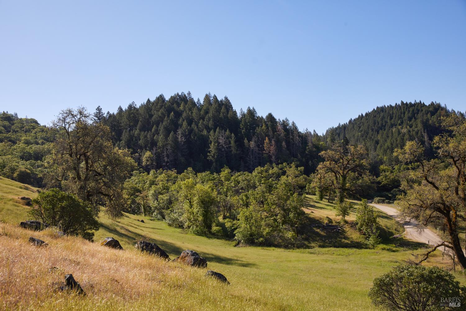 Detail Gallery Image 10 of 22 For 10850 Tomki Rd, Redwood Valley,  CA 95470 - – Beds | – Baths