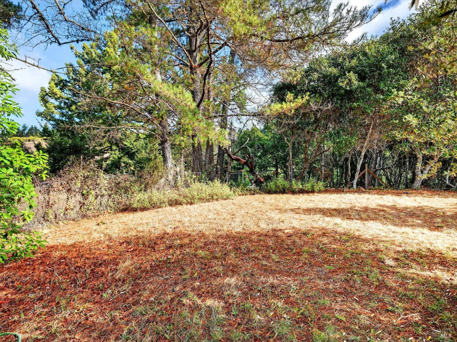 Detail Gallery Image 46 of 57 For 2333 Guntley Rd, Philo,  CA 95466 - 4 Beds | 2 Baths