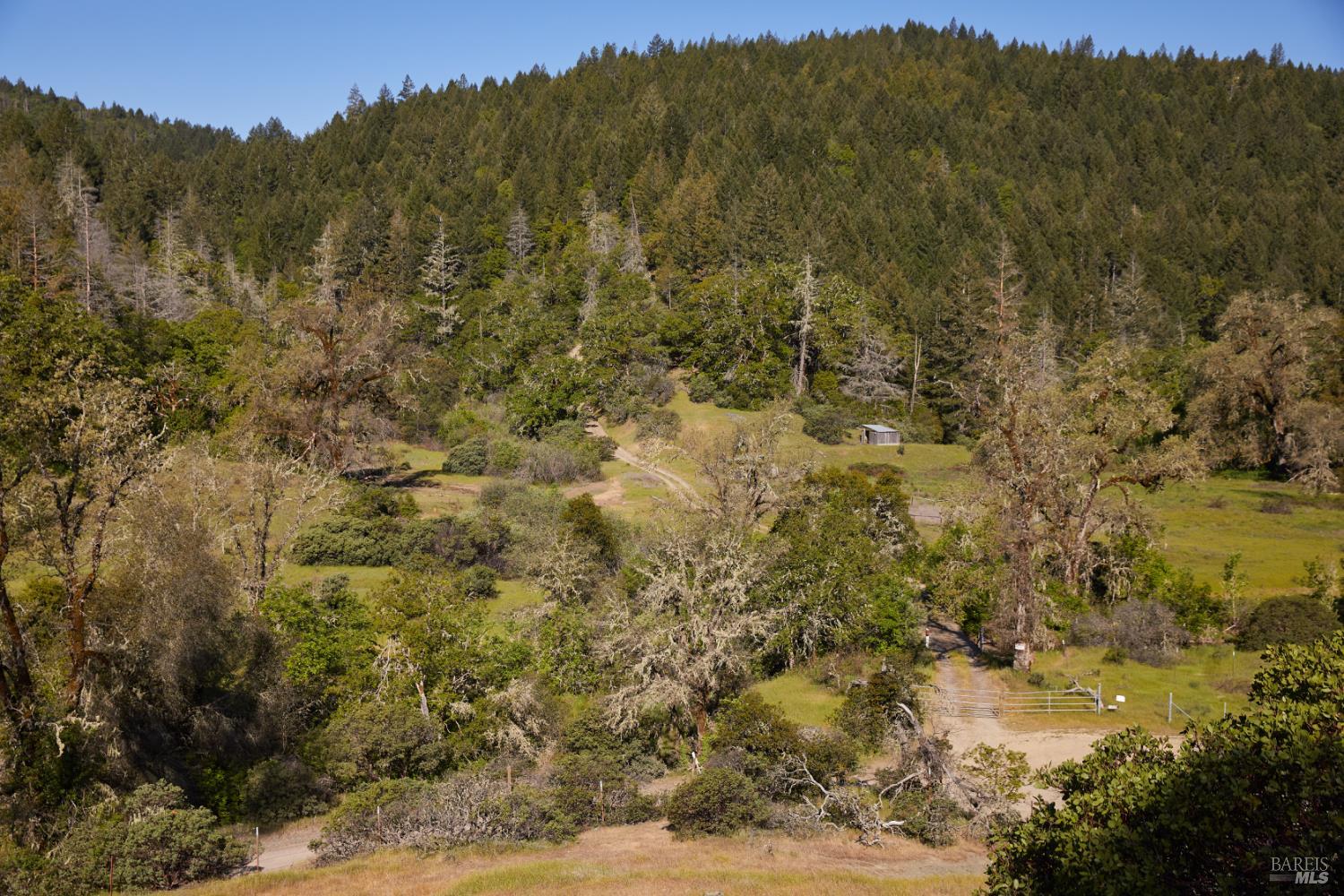 Detail Gallery Image 15 of 22 For 10850 Tomki Rd, Redwood Valley,  CA 95470 - – Beds | – Baths