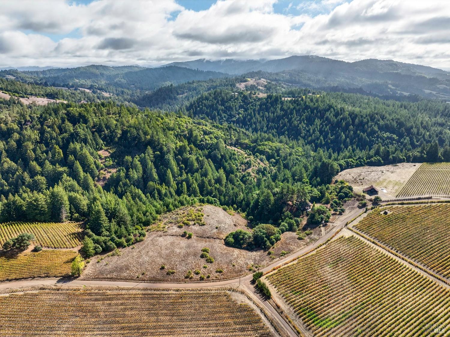 Detail Gallery Image 3 of 57 For 2333 Guntley Rd, Philo,  CA 95466 - 4 Beds | 2 Baths