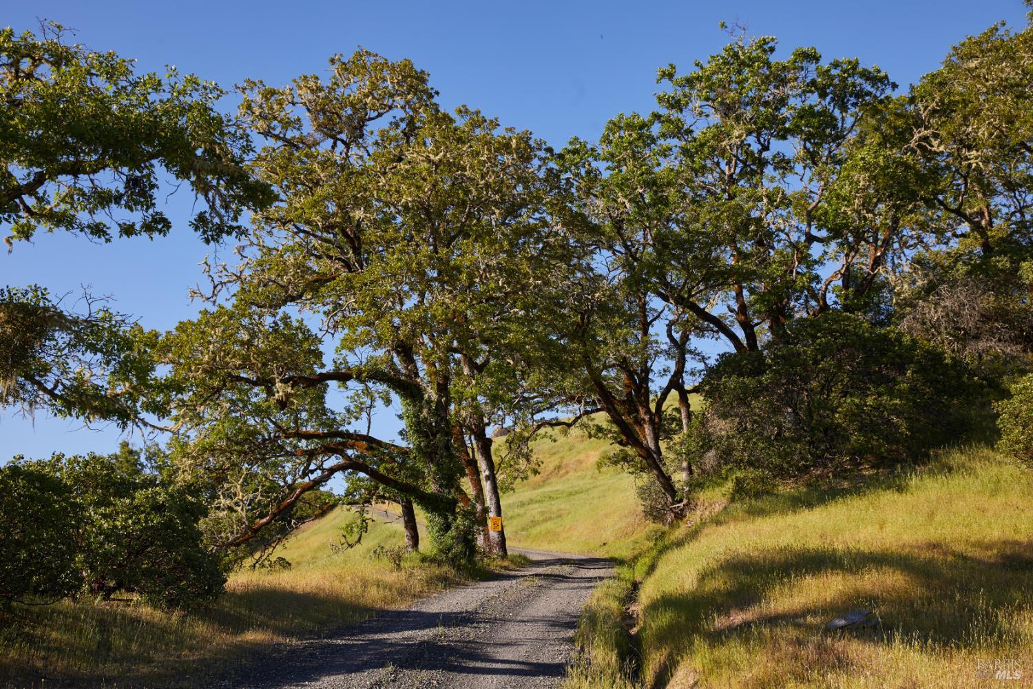 Detail Gallery Image 22 of 22 For 10850 Tomki Rd, Redwood Valley,  CA 95470 - – Beds | – Baths
