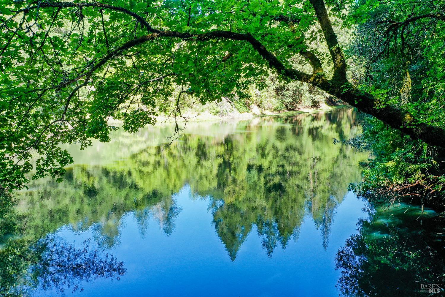 Detail Gallery Image 8 of 13 For 3150 Mill Creek Rd, Healdsburg,  CA 95448 - 4 Beds | 2 Baths